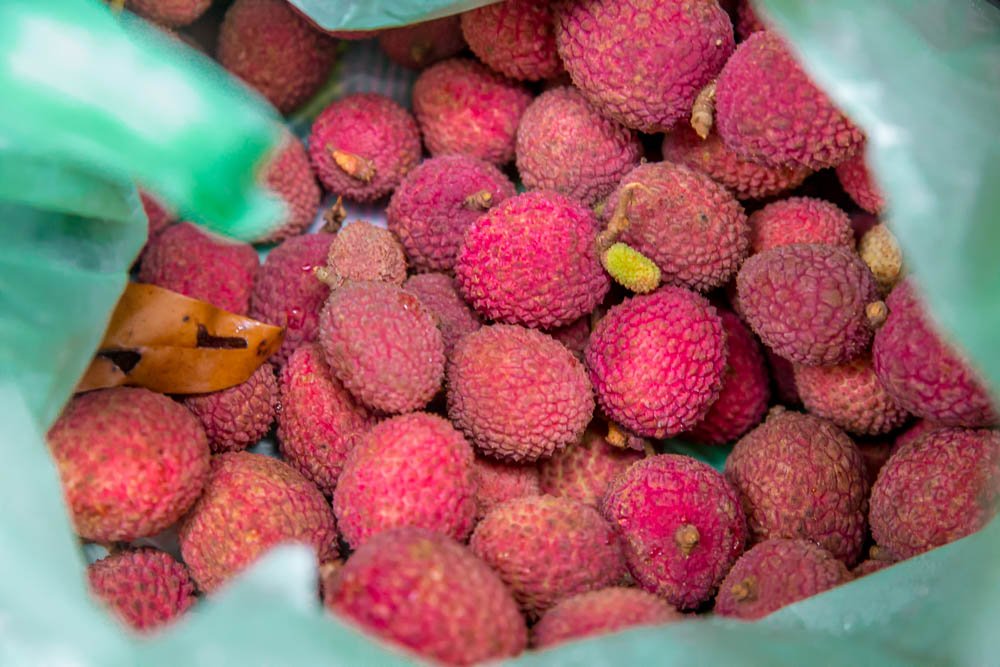 Better than the cup of Nescafe that was on offer. Freshly picked lychees.