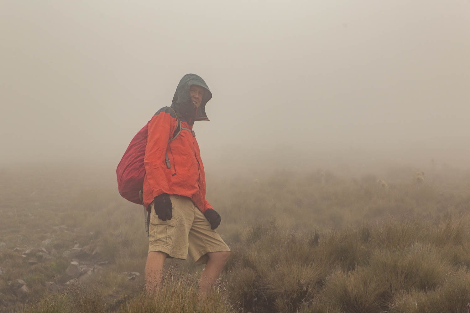 Standing in the mist.